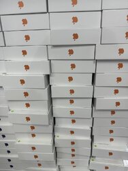 iPhone 17.jpg